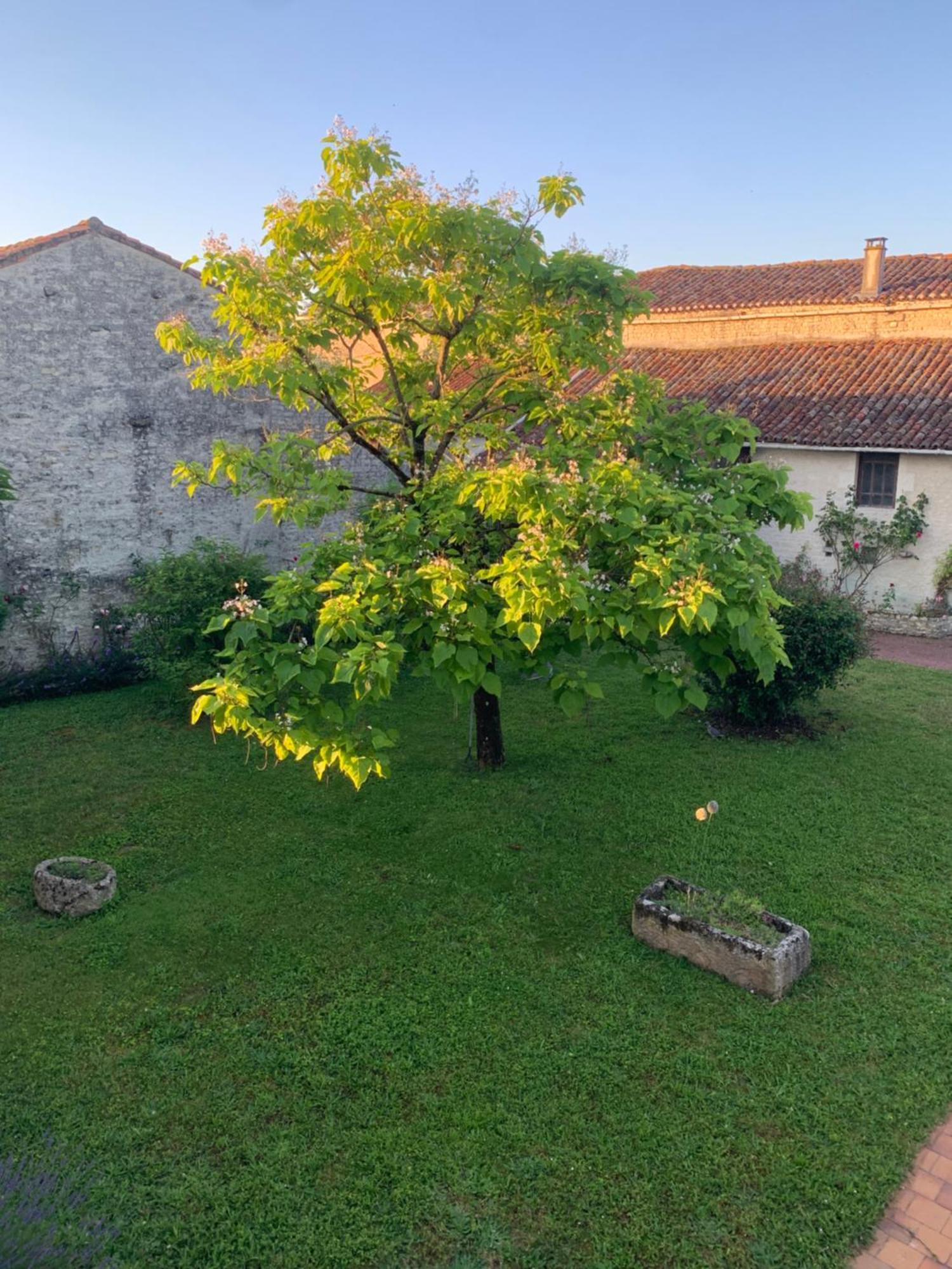 The Cool Lounge A Coulonges - Charente Coulonges (Charente) Exterior foto