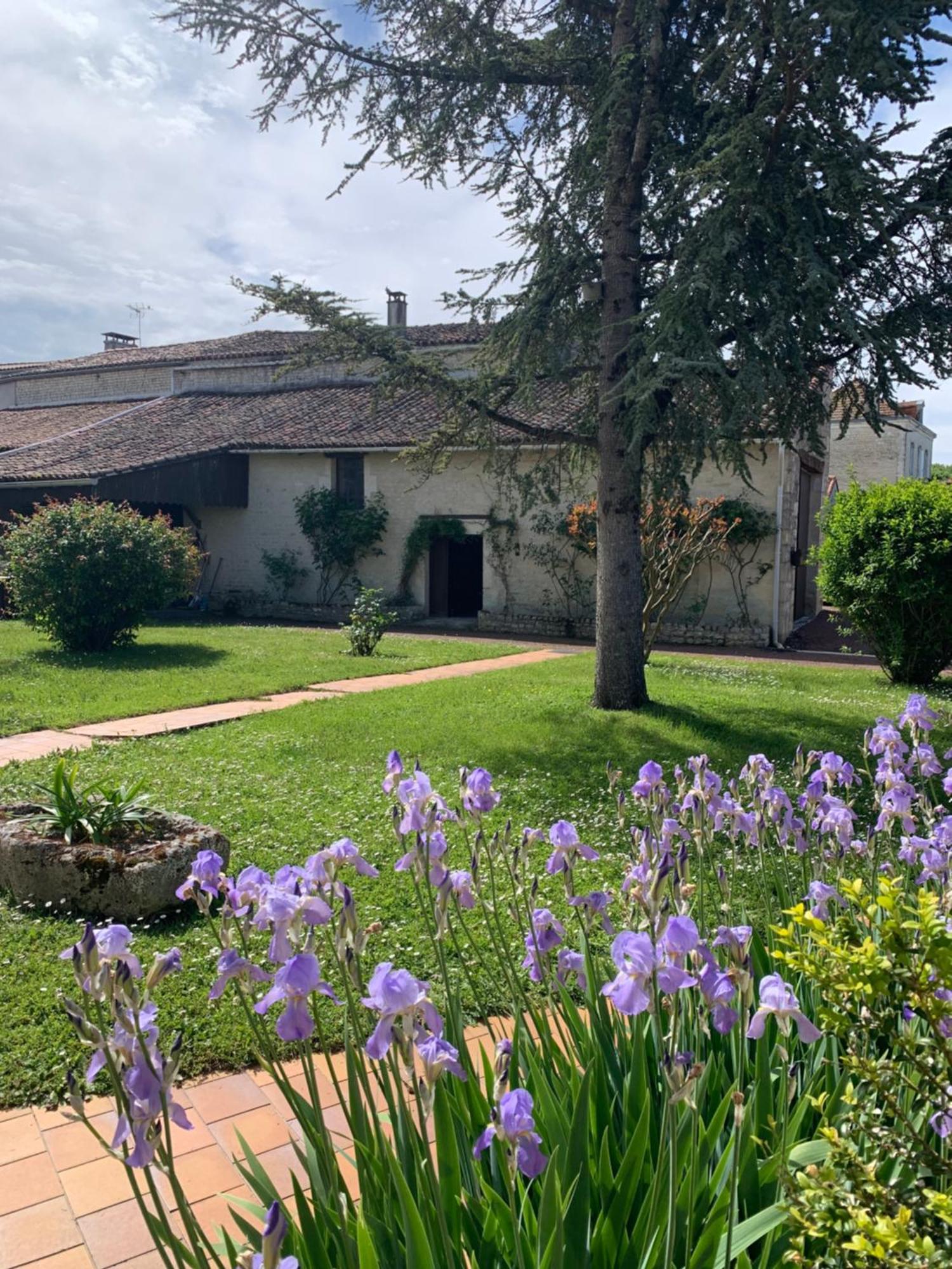 The Cool Lounge A Coulonges - Charente Coulonges (Charente) Exterior foto